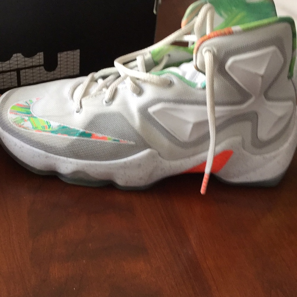 LeBron 13s